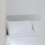 Hotel Alegria Suites By Casa Sigala